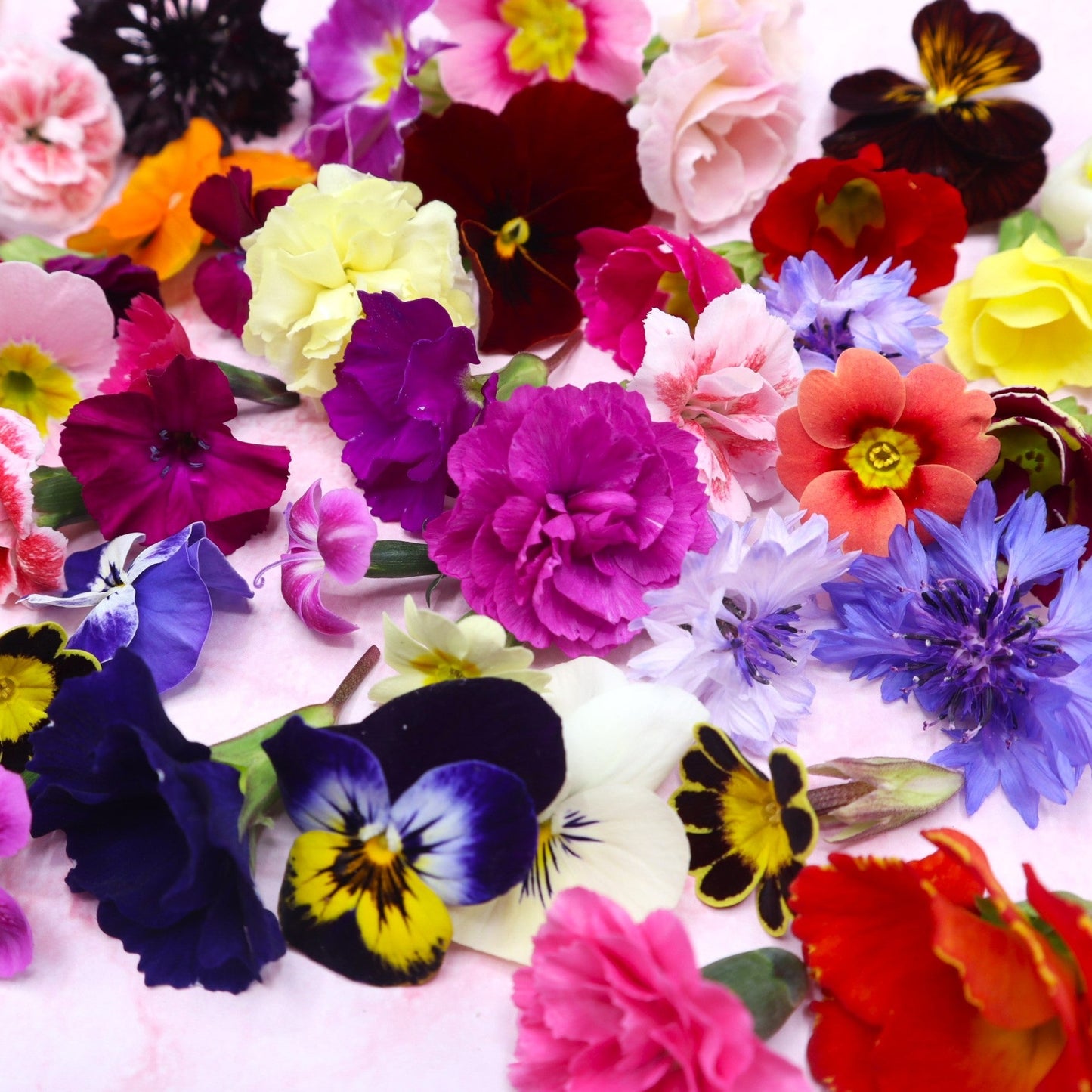eetbare bloemen voor cupcake