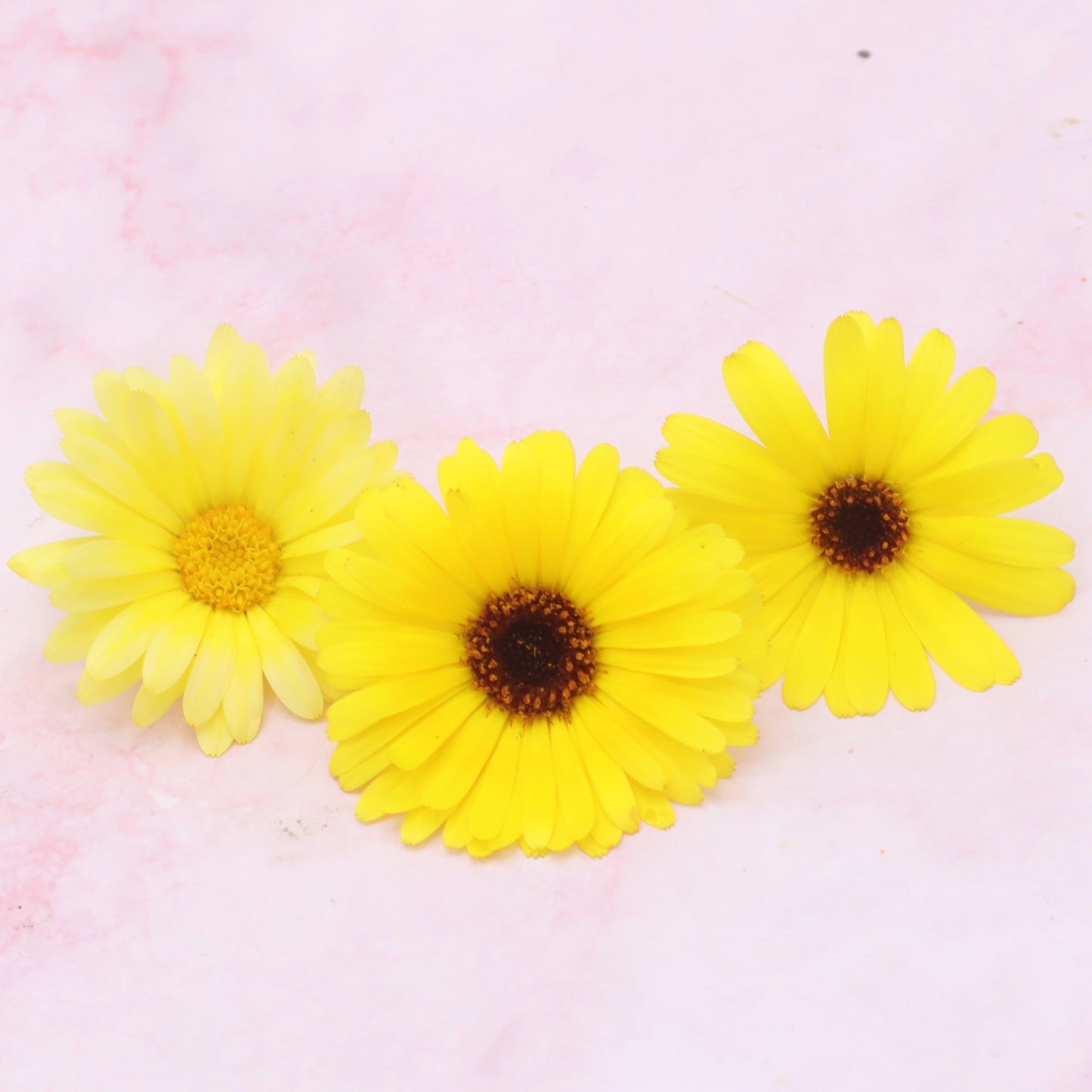 Gele Goudsbloem eetbare bloemen Floral Delight eetbare bloemenshop