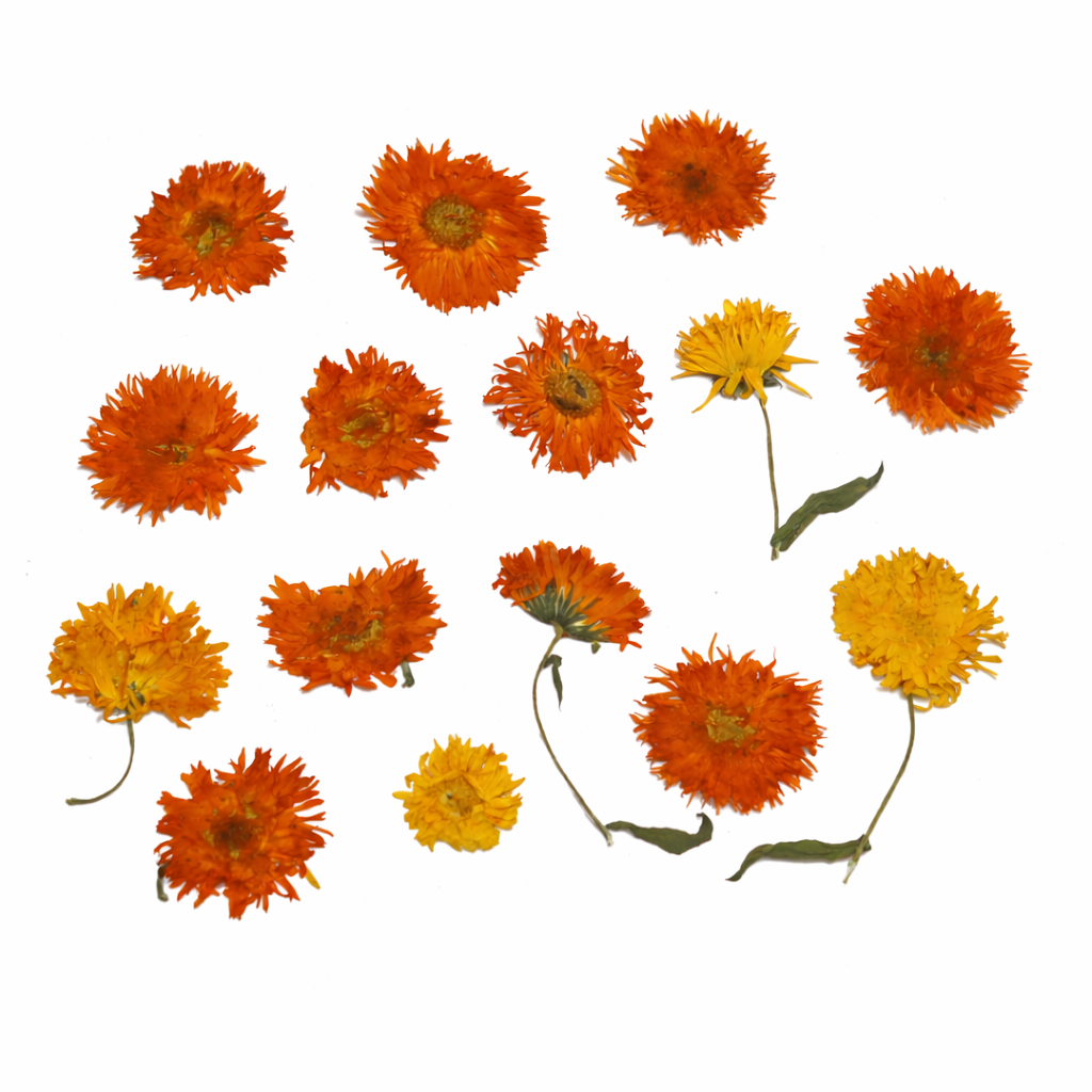 Geperste eetbare goudsbloemen, botanische look voor bruidstaarten