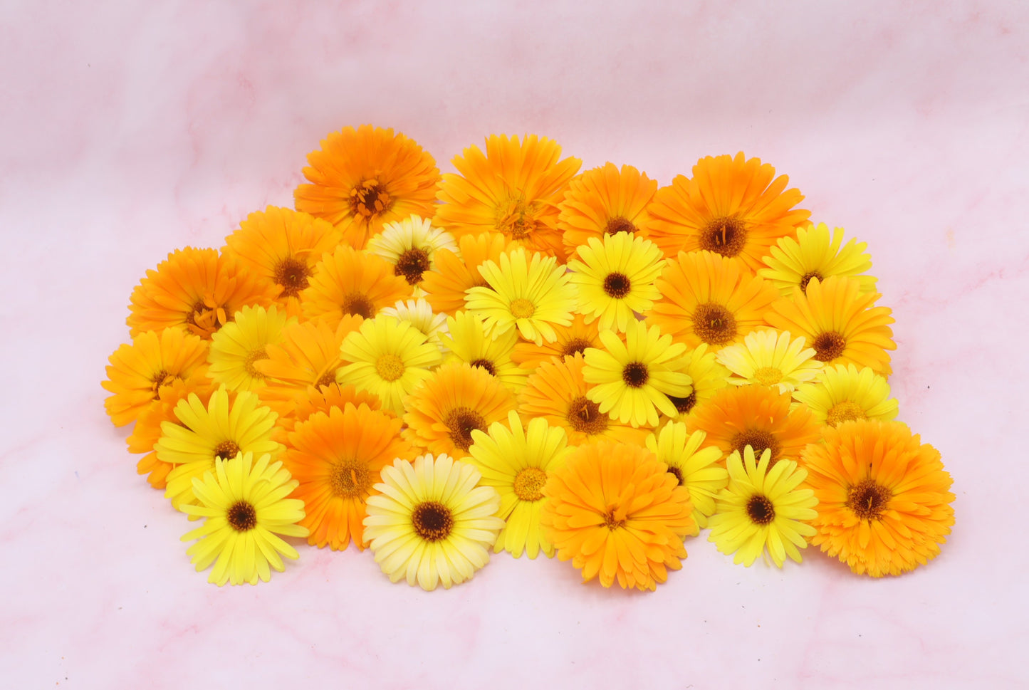 Grootverpakking goudsbloem eetbare bloemen Floral Delight eetbare bloemenshop
