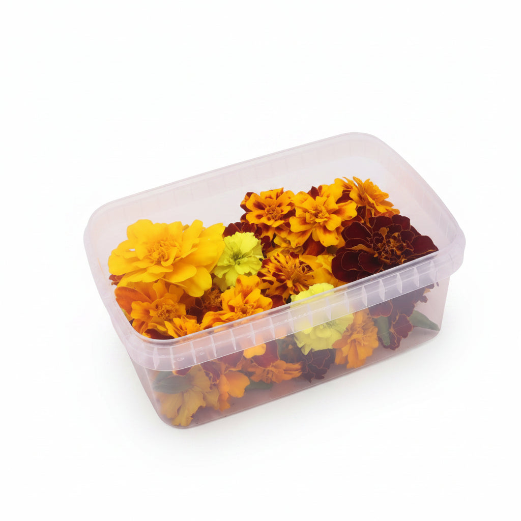 Eetbare Tagetes, Marigold, Afrikaantje, eetbare bloemen, eetbare bloemenshop, floral delight