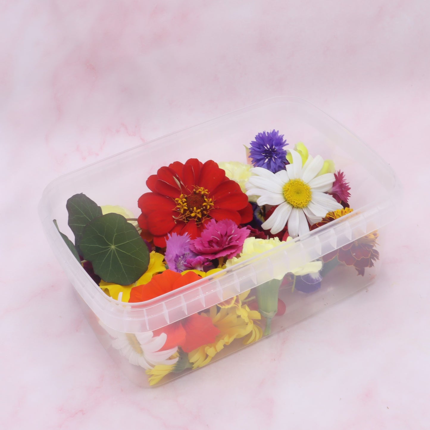 eetbare bloemen, eetbare bloemenshop, floral delight, korenbloem, viool, goudsbloem, fuchsia, tagetes