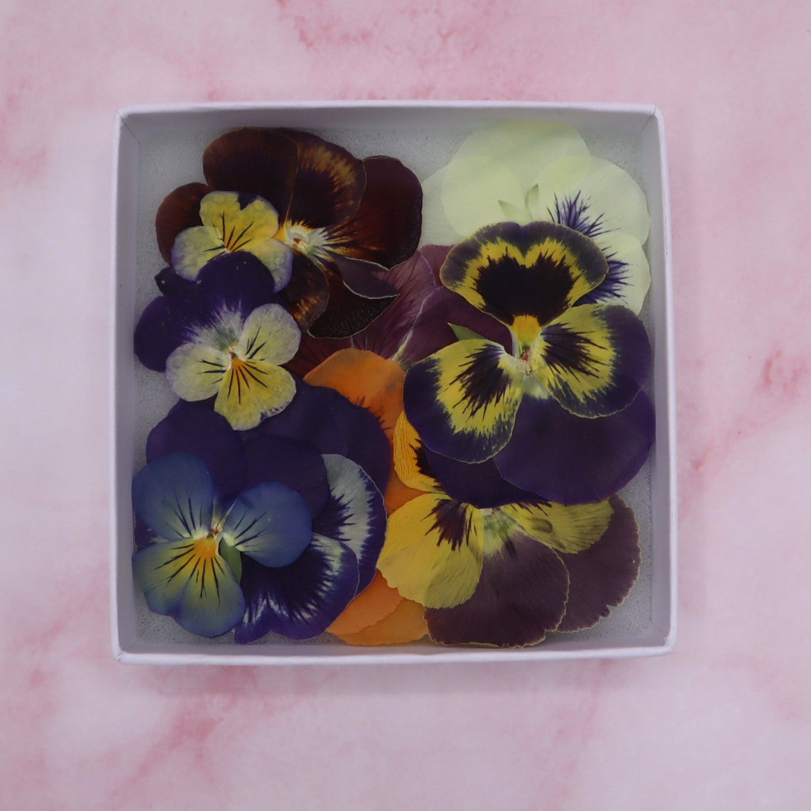 Violen mix, Viva Viola, kleine en grote violen in diverse kleuren. Eetbare bloemen Geperst