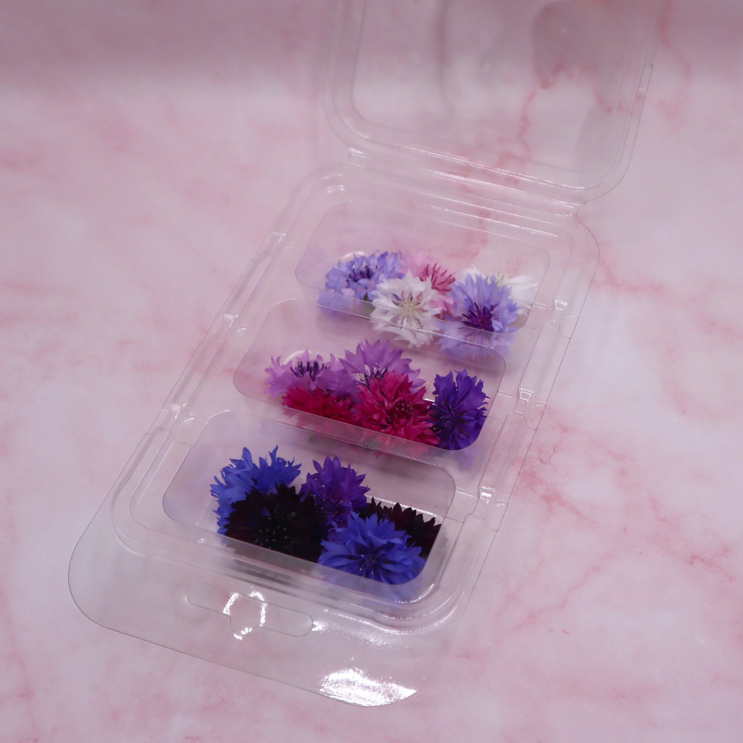 Verse eetbare korenbloem. roze blauw. Floral Delight