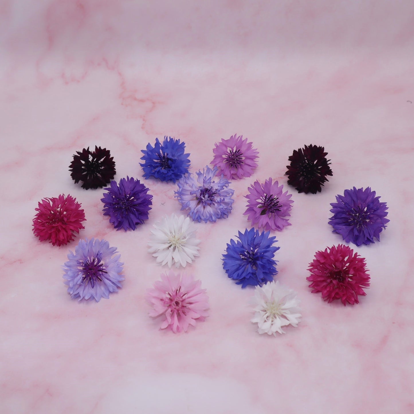 Verse eetbare korenbloem. roze blauw. Floral Delight