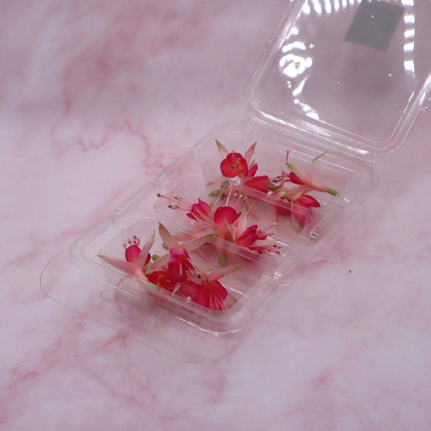 eetbare fuchsia roze eetbare bloemen