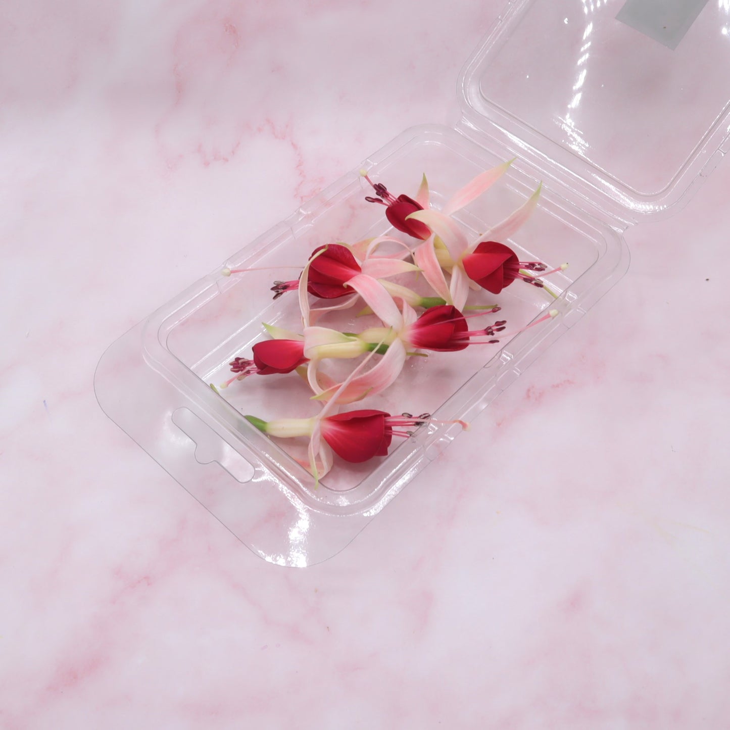 eetbare fuchsia groot eetbare bloemen