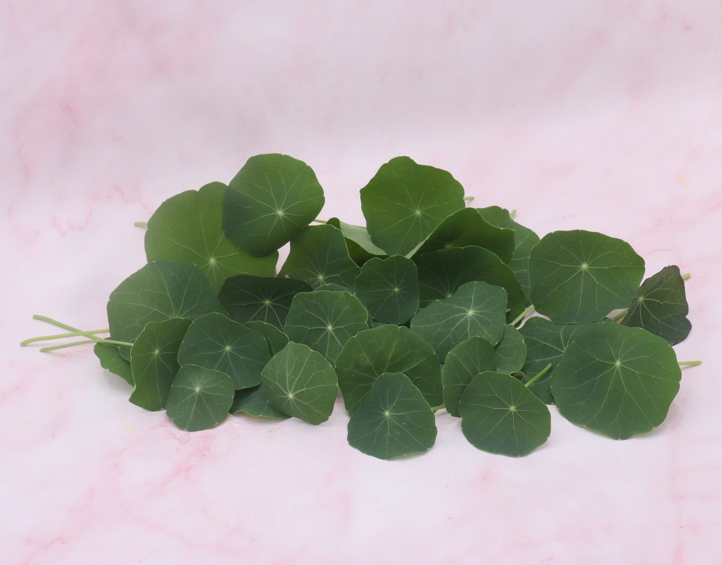 Grootverpakking, Oost-indische kers blad, OIK bladeren, groene eetbare bloemen, bloemenshop