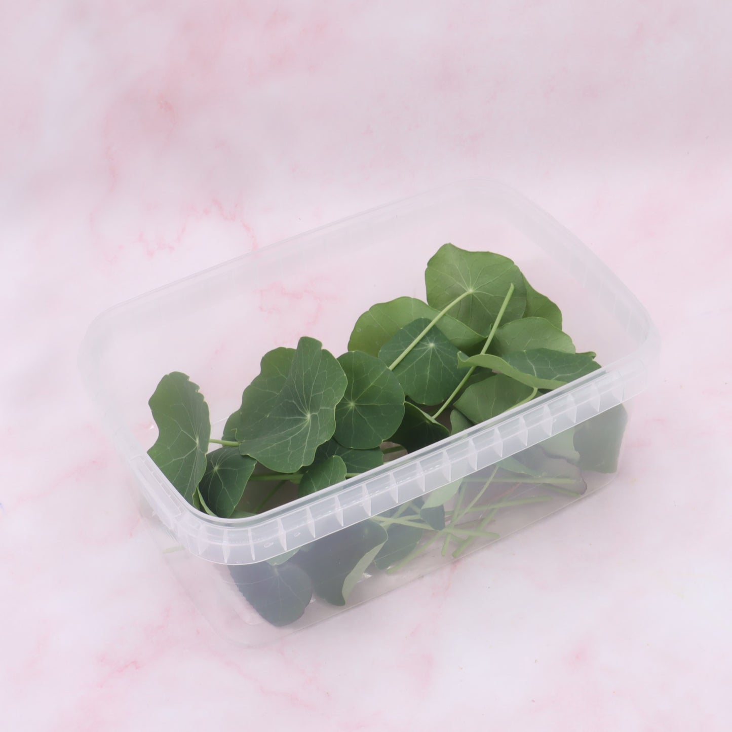 Grootverpakking, Oost-indische kers blad, OIK bladeren, groene eetbare bloemen, bloemenshop