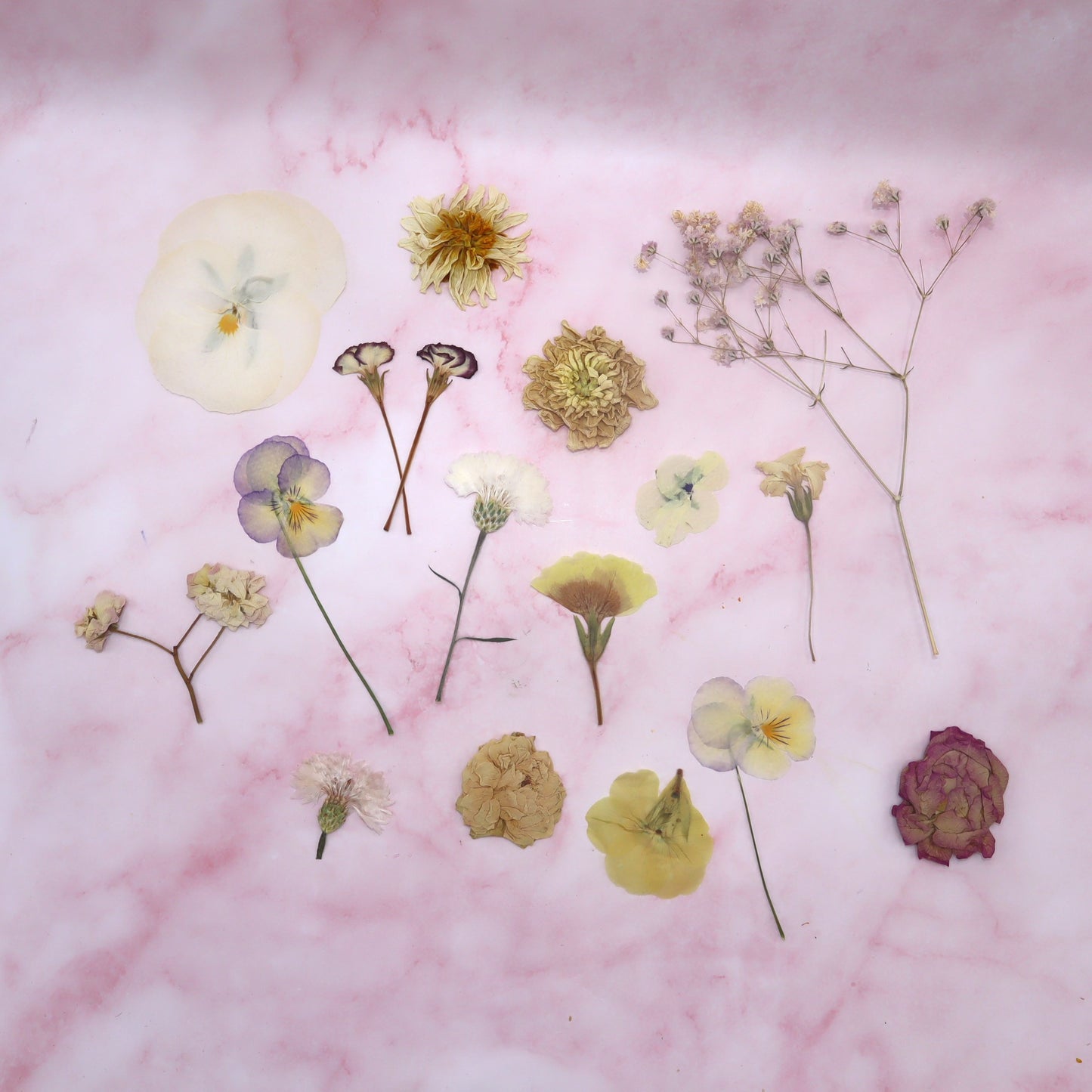 Geperste eetbare bloemen. Zachte kleuren mix. Bruidstaart, bruiloft, taart, cake