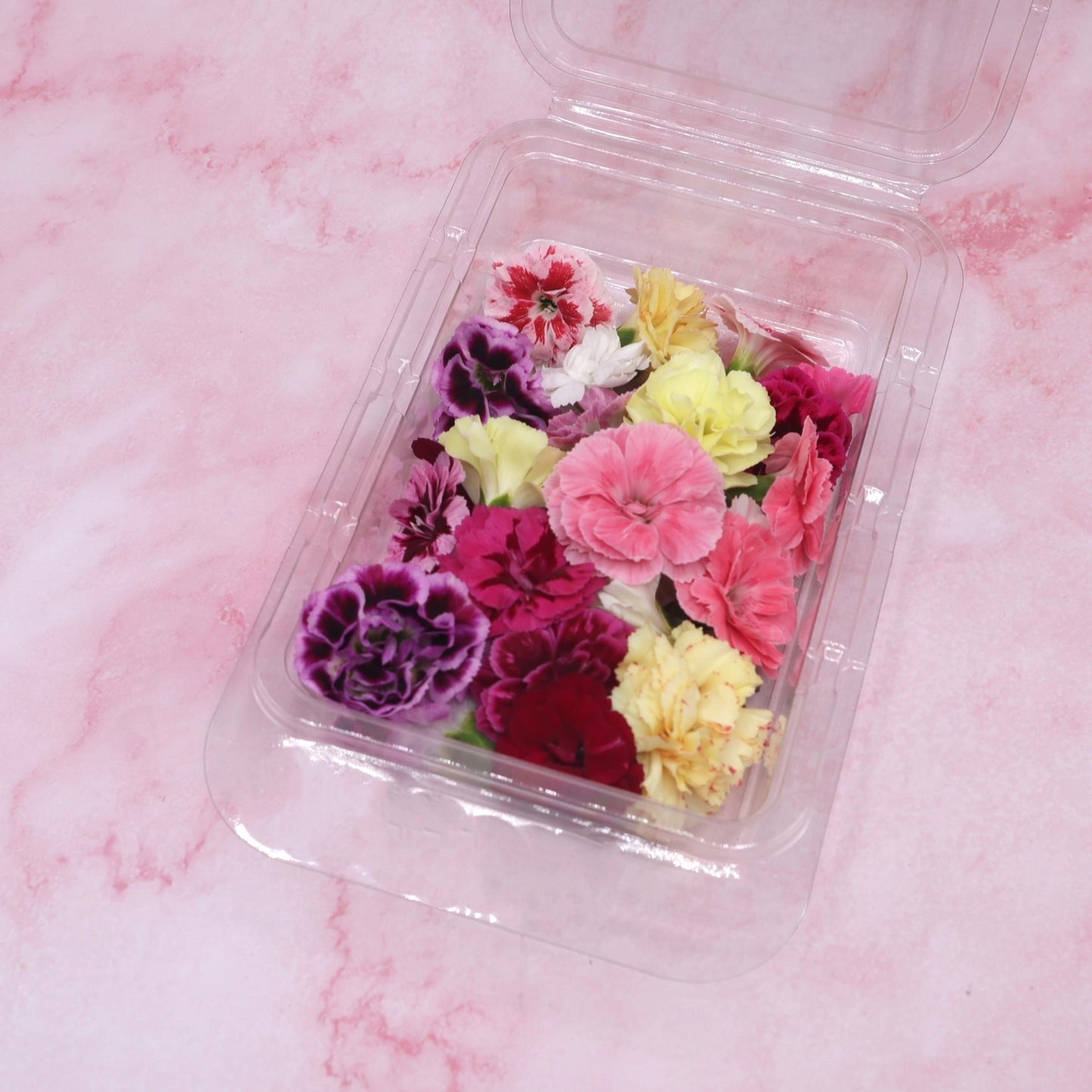 Verse eetbare Anjer - Medium, geel rood roze wit