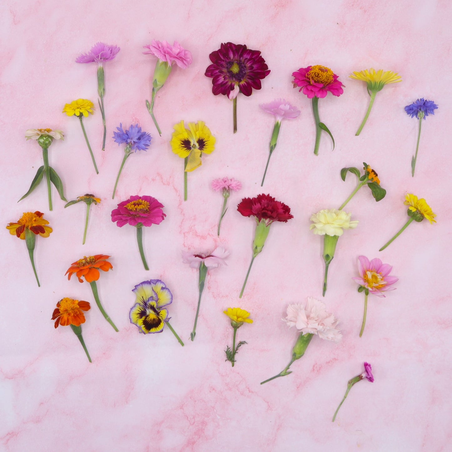Bloemenmix - Met Mini Steeltje