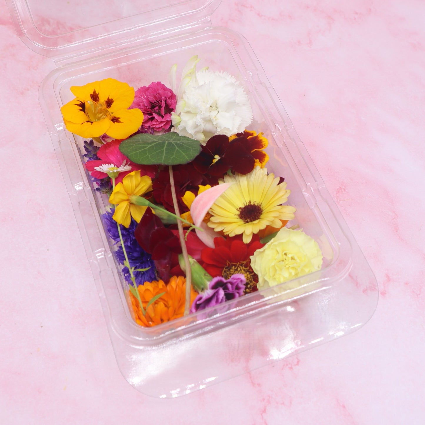 eetbare bloemen mix culinaire toepassingen. Taart, cupcake, borrelplank, sweet table