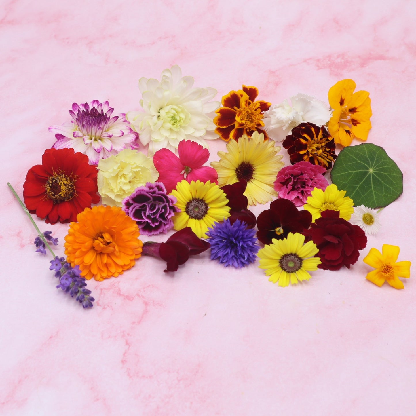 eetbare bloemen mix culinaire toepassingen. Taart, cupcake, borrelplank, sweet table