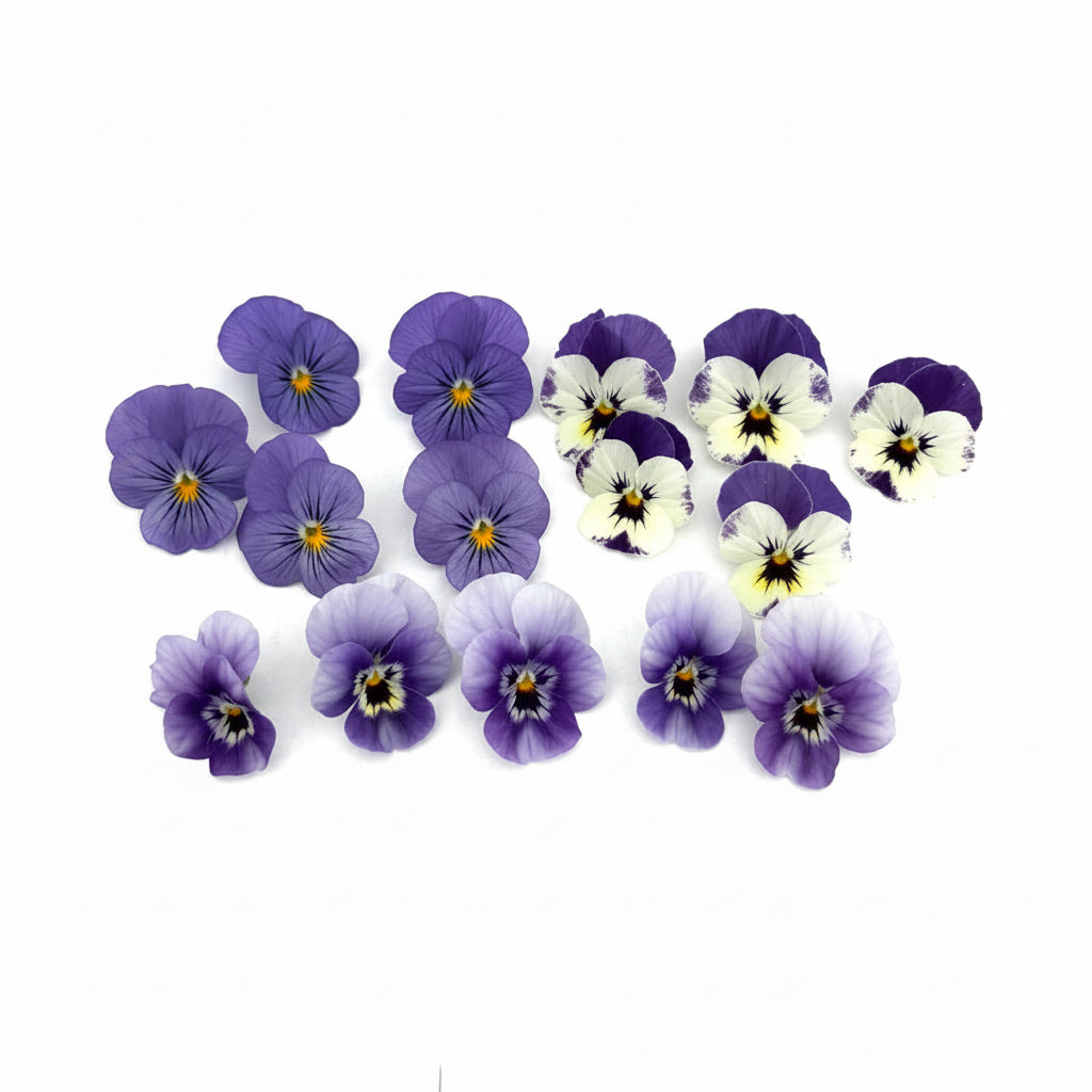 cocktail mix violen