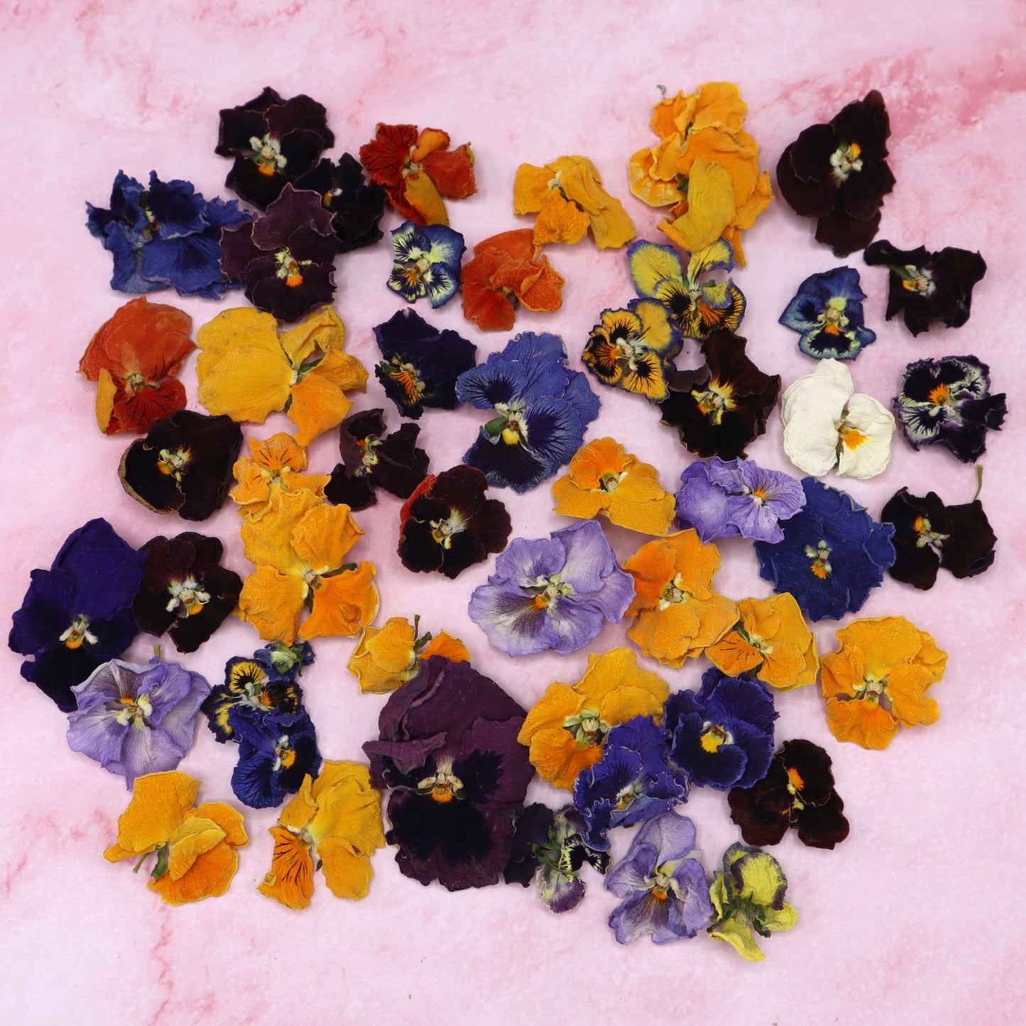 Viooltjes