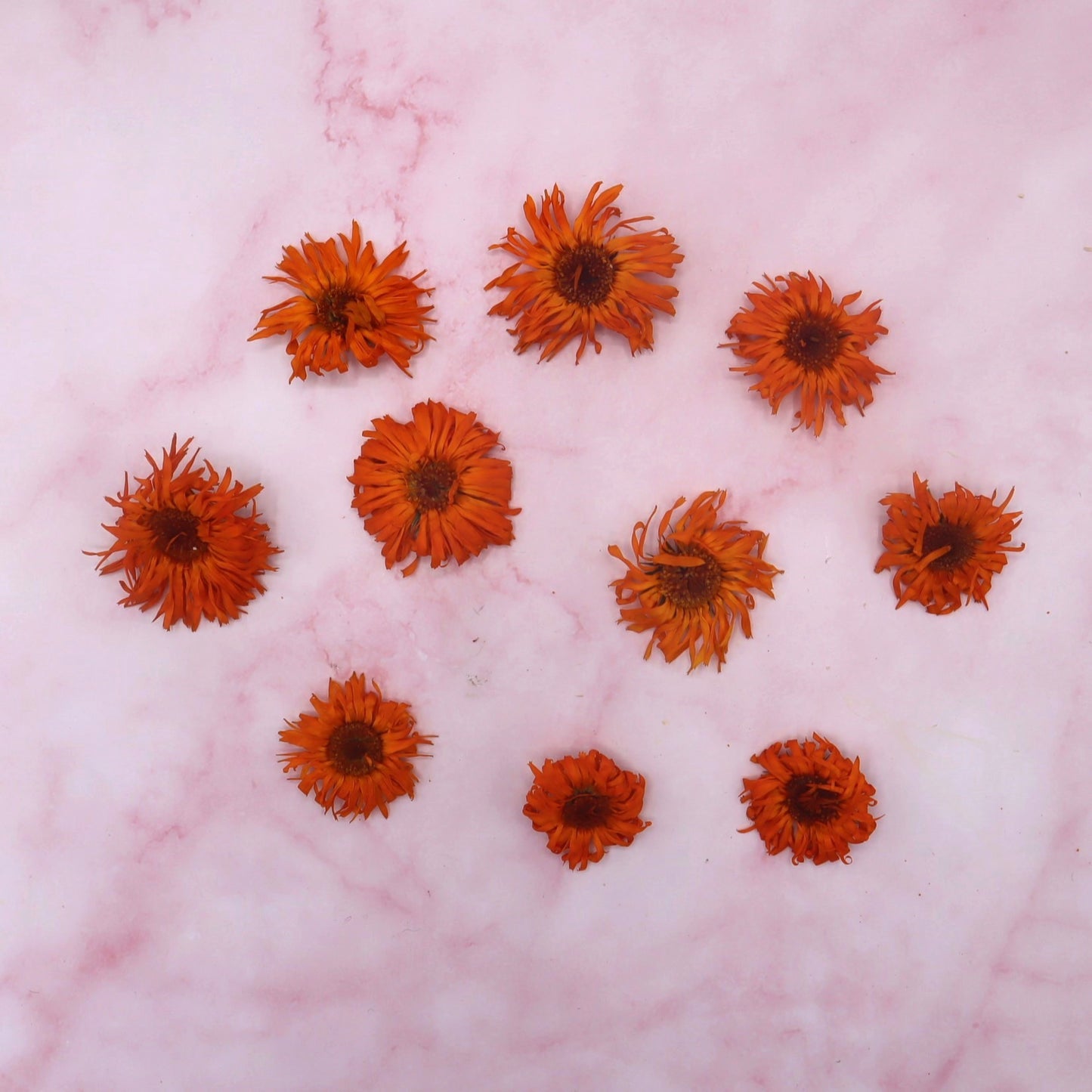 Gedroogde eetbare goudsbloem. Oranje