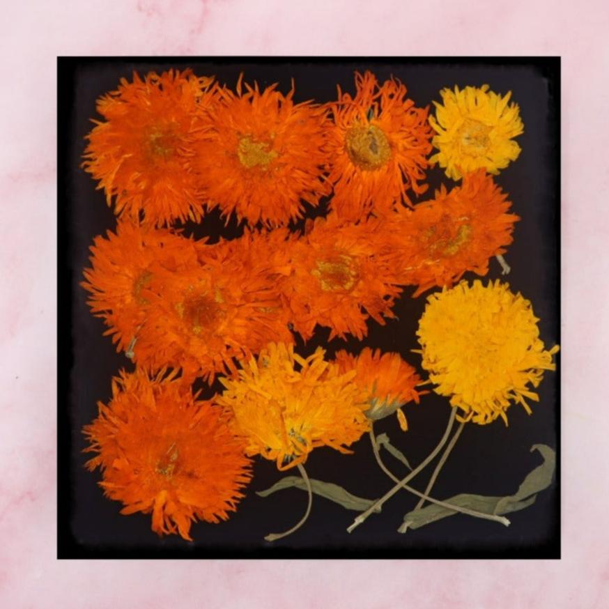 geperste goudsbloem. Eetbare geperste bloemen. Geel en Oranje. Floral Delight