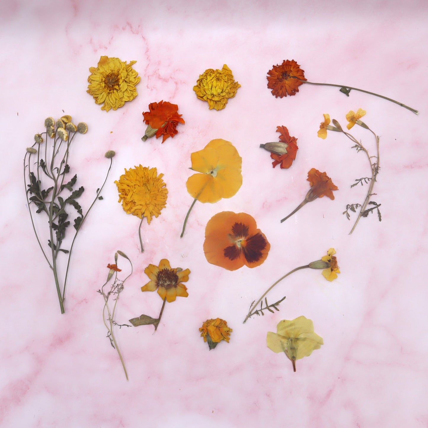 geperste eetbare bloemen. Bruidstaart, bruiloft. Geel Oranje
