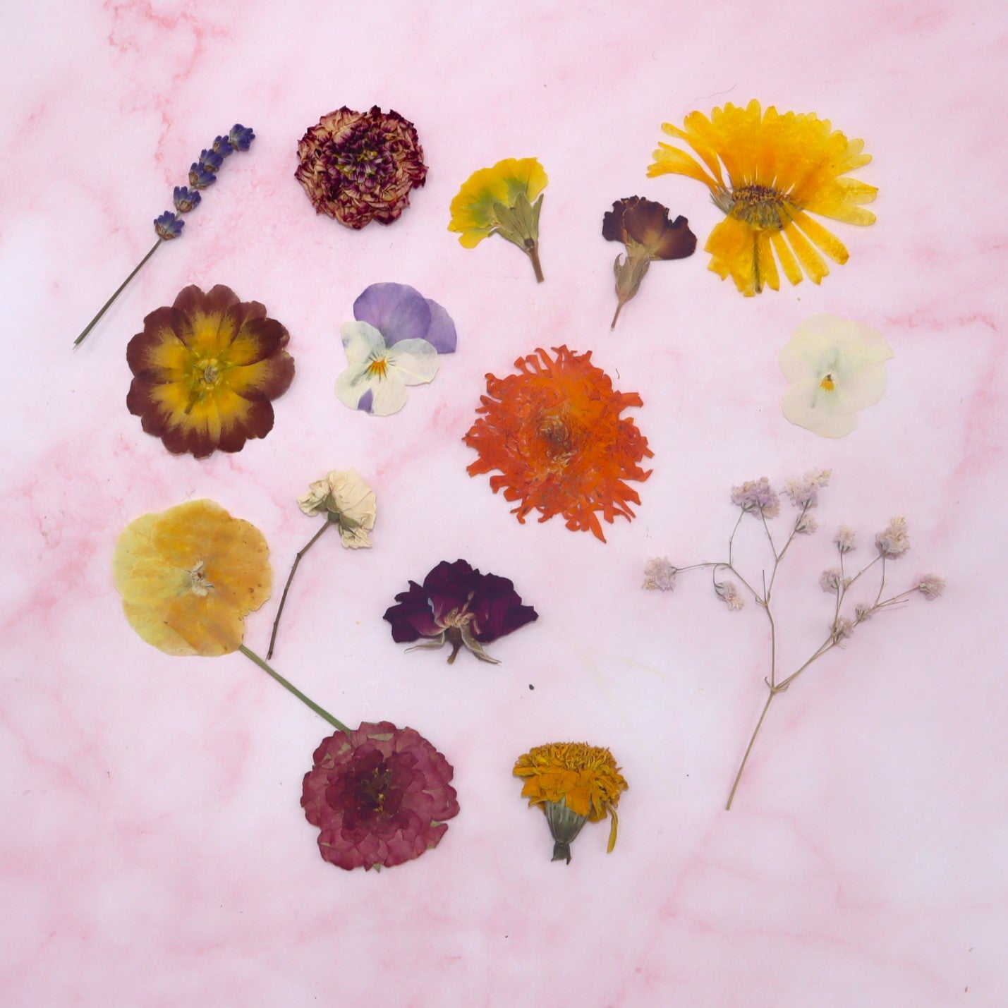 Geperste bloemen . Floral Delight