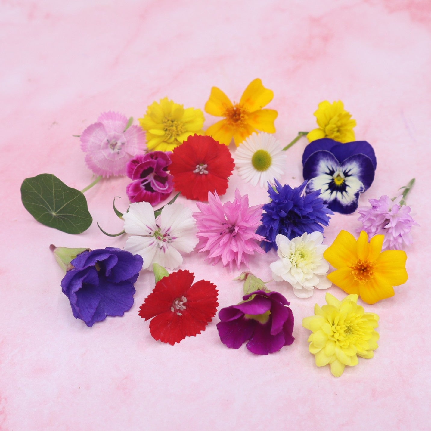 Zarte Blumenmischung