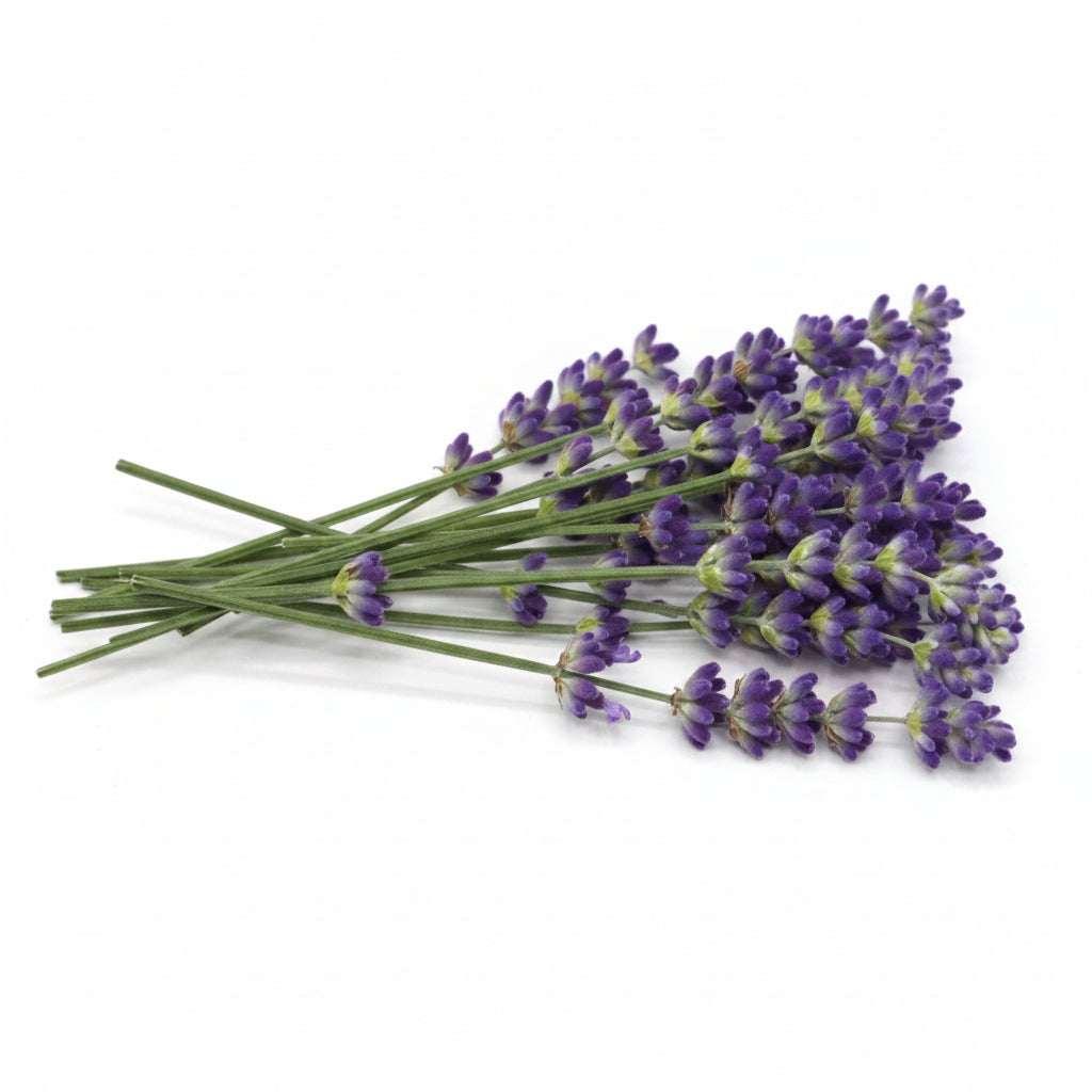 Verse lavendel. Eetbare bloemen, cocktails, champagne, mocktails, garnering, limonades, taarten