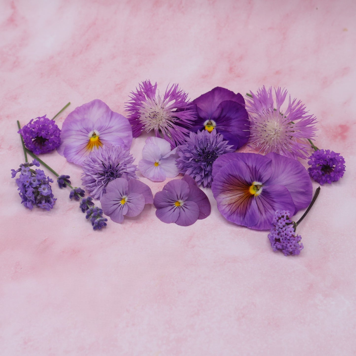 Lila Paarse eetbare bloemen mix. Edible Flowers. Floral Delight