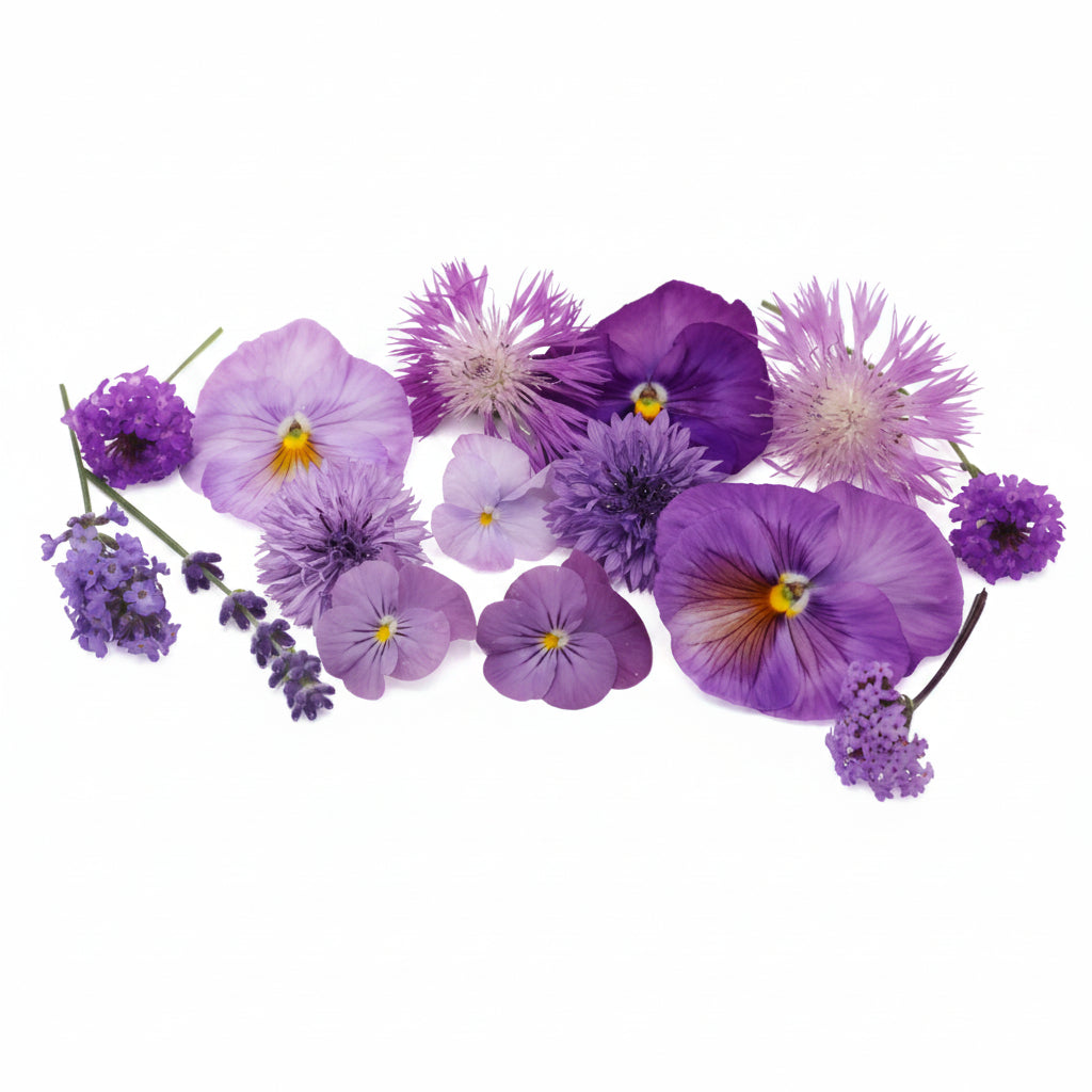 Lila Paarse eetbare bloemen mix. Edible Flowers. Floral Delight