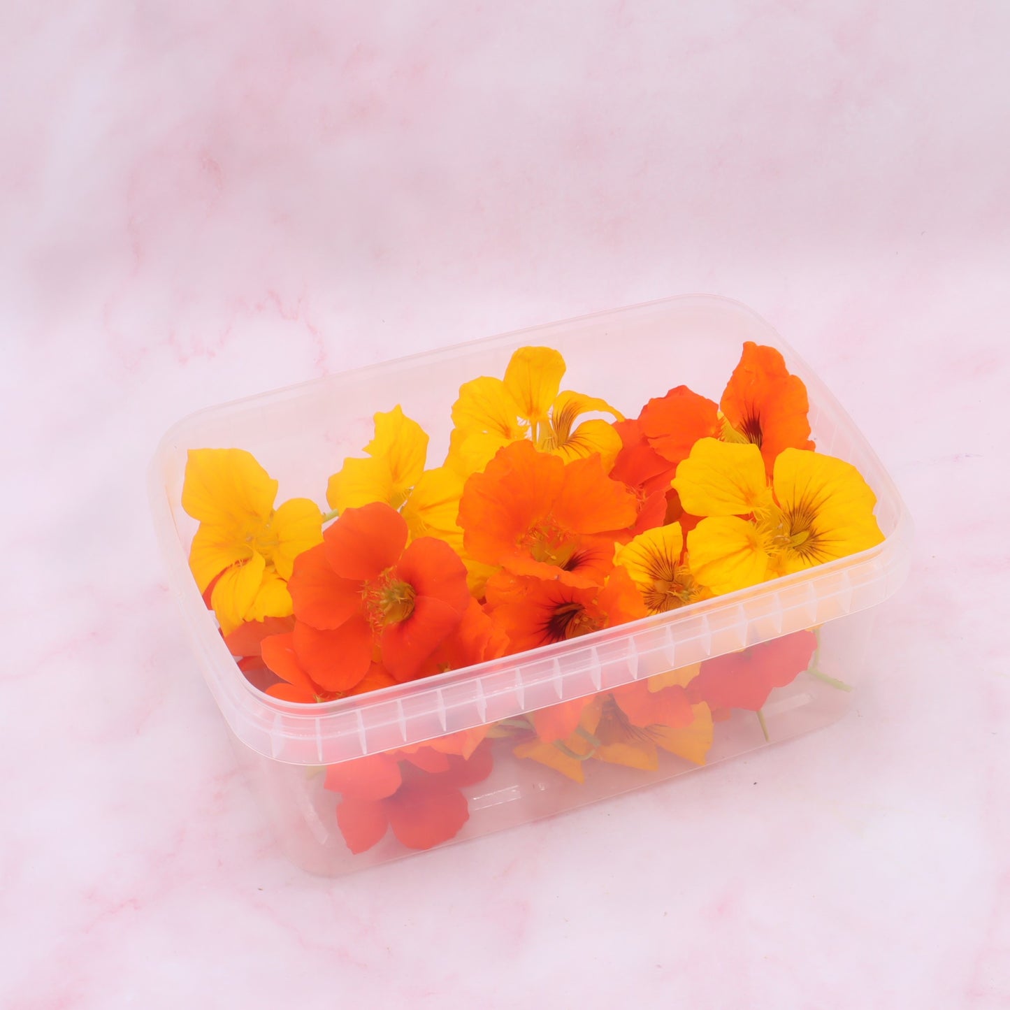 Eetbare Oost-indische kers bloemen, eetbare bloemen, bloemenshop webshop