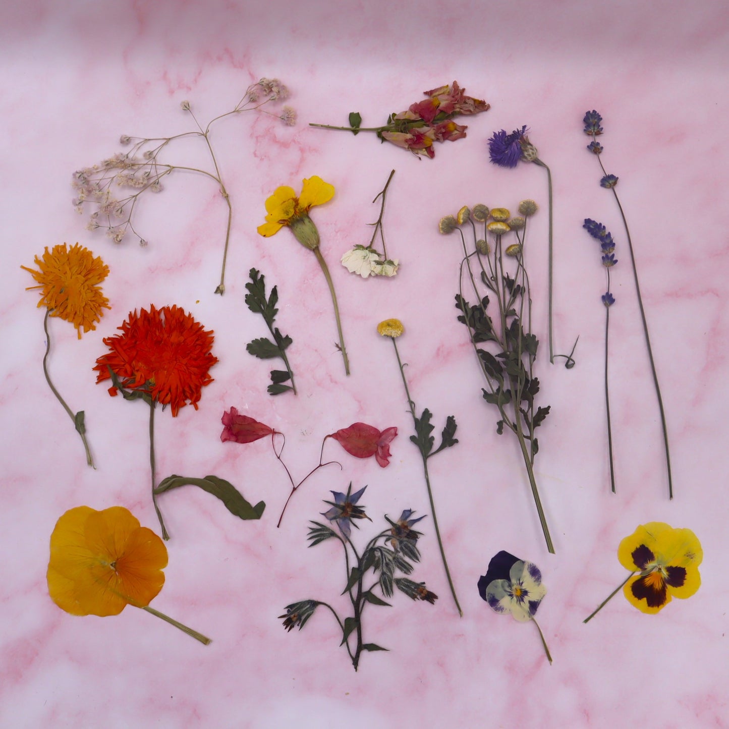 Geperste eetbare bloemen. Bruidstaart, bruiloft. Floral Delight