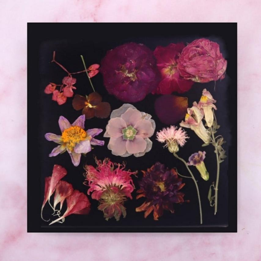 Geperste eetbare bloemen. Rood Roze geperst. Bruidstaart, Bruiloft, Taarten