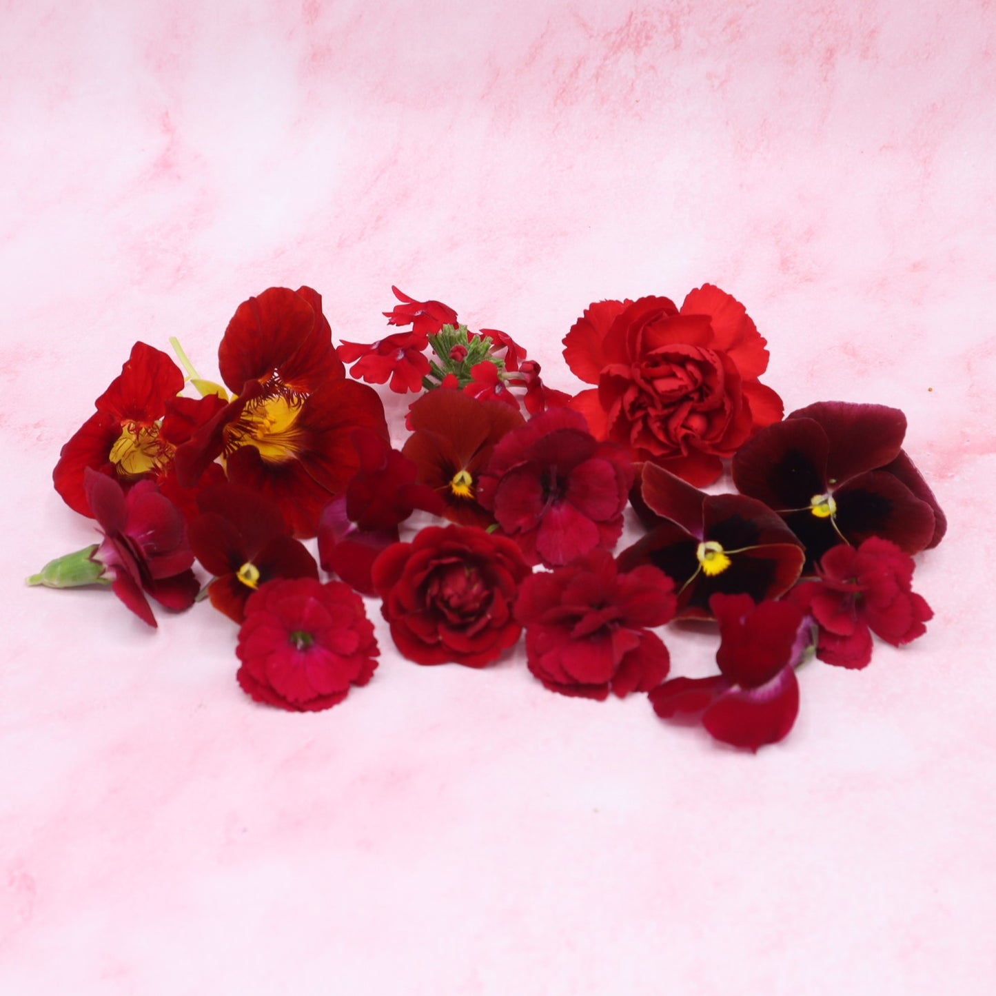 Rode eetbare bloemen. Liefde, valentijns eetbare bloemen. Viooltjes, anjer en primula van Floral Delight. Bruidstaart, cupcake, cocktails.