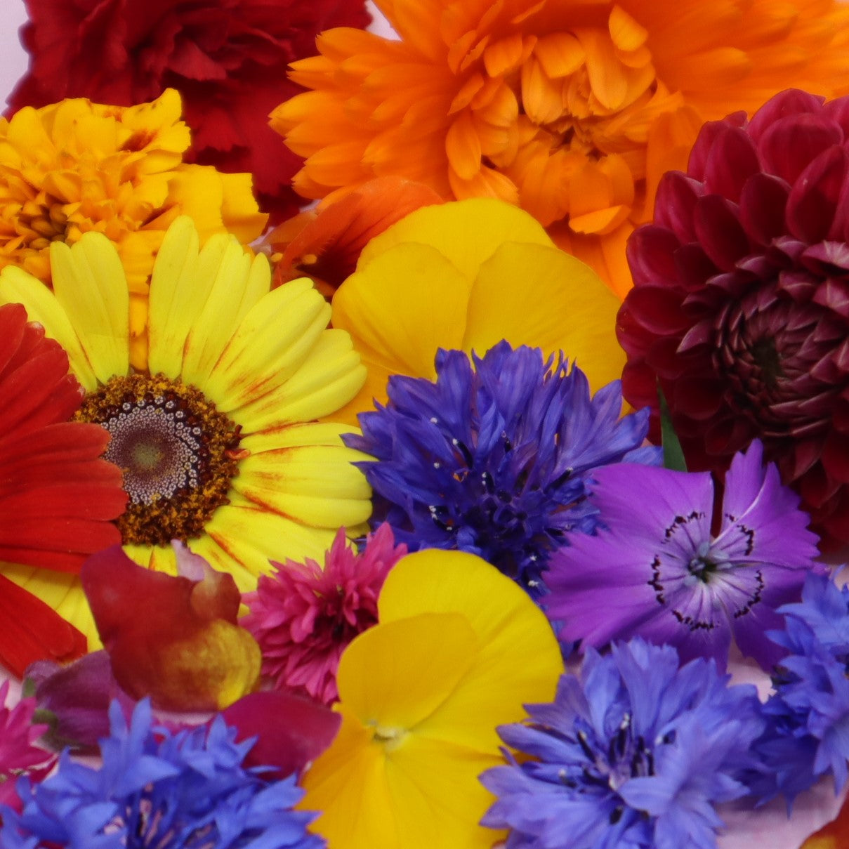 tropsiche mix. Felle eetbare bloemen. Cocktail, sweettable