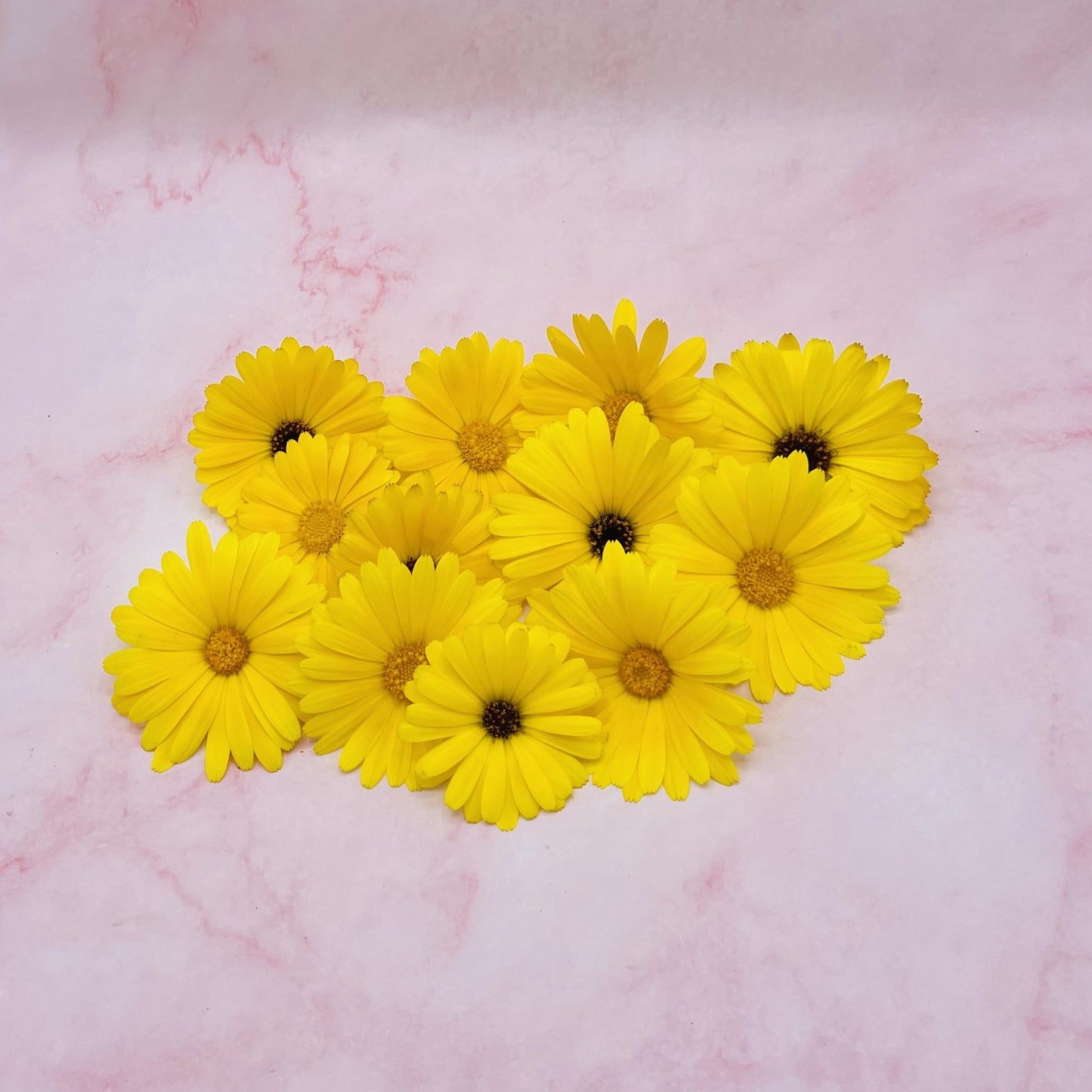 Goudsbloemen geel oranje eetbare bloemen vers floral delight