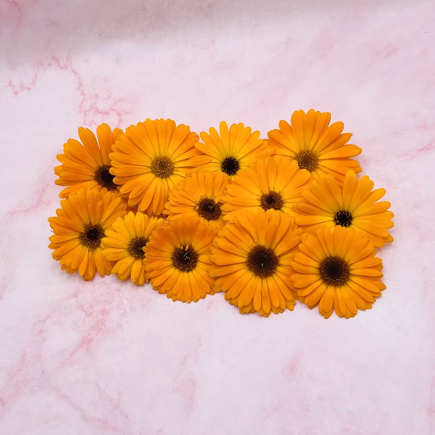 Goudsbloemen geel oranje eetbare bloemen vers floral delight