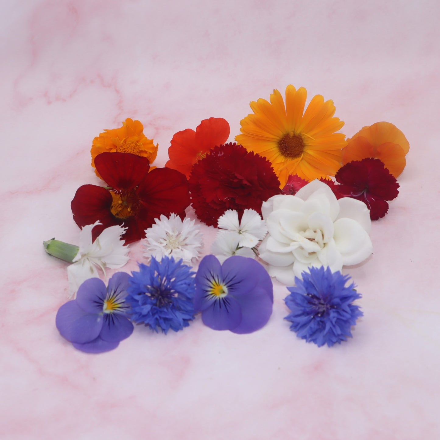 Hollandse Nederlandse Eetbare Bloemen Mix. Oranje, rood, wit, blauw. WK, voetbal Olympische spelen bloemen