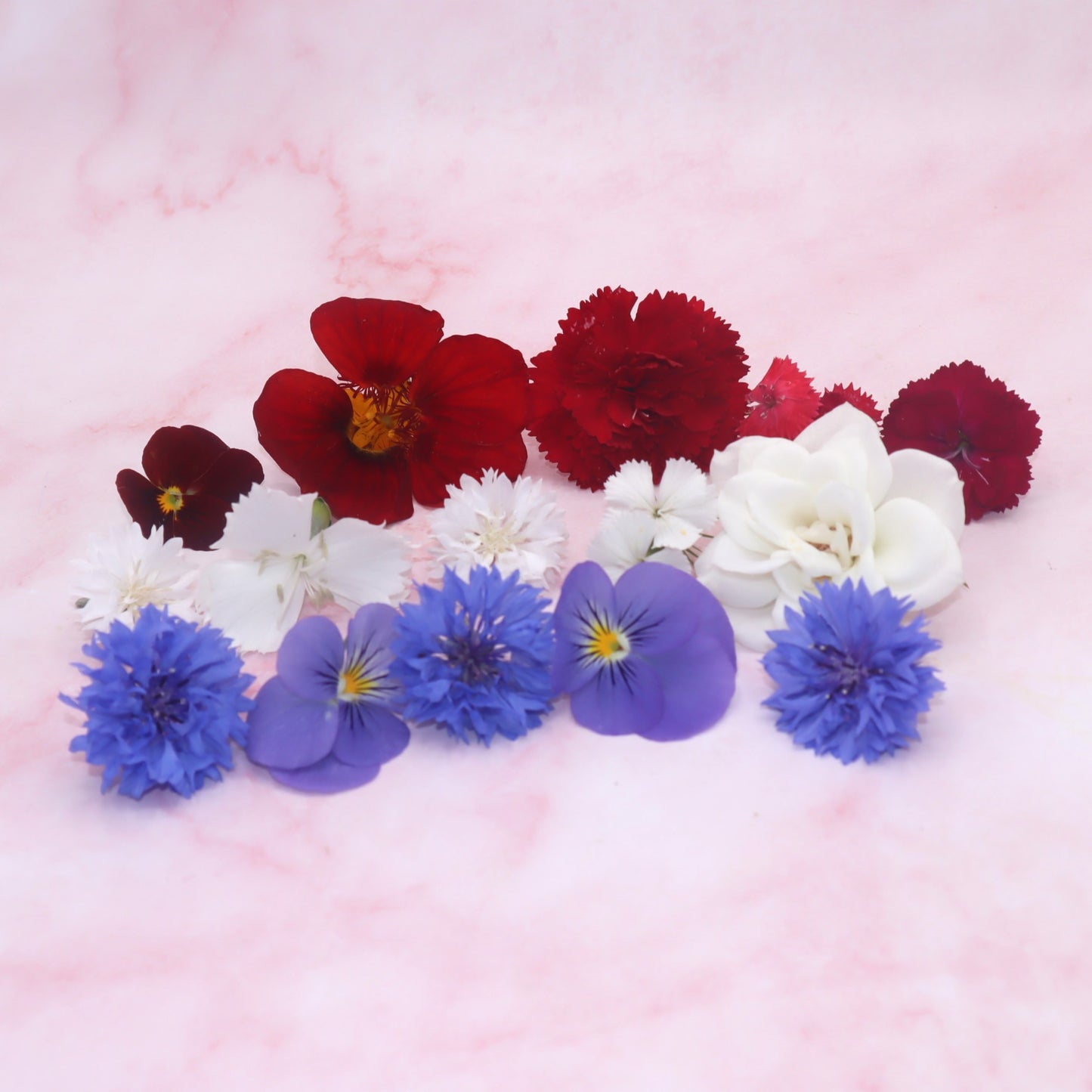 Hollandse Nederlandse Eetbare Bloemen Mix. Oranje, rood, wit, blauw. WK, voetbal Olympische spelen, koningsdag bloemen,