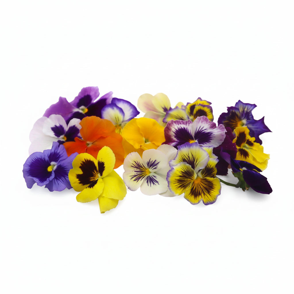 Viva Viola Mix - Floral Delight