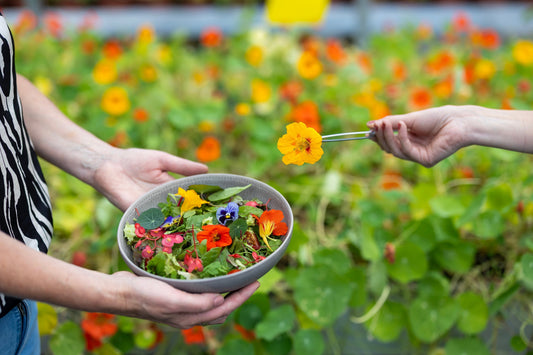 Kleurrijke salade met eetbare bloemen