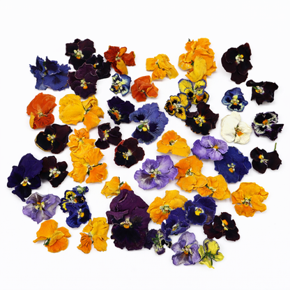 Gedroogde eetbare viooltjes voor baksel. Floral Delight