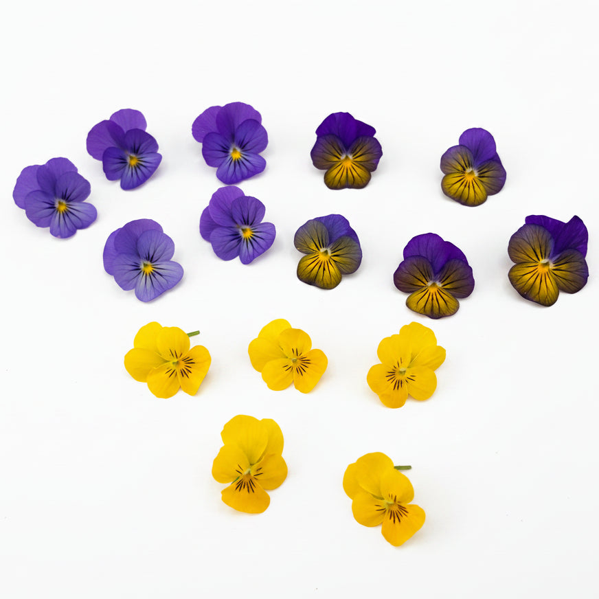cocktail mix violen
