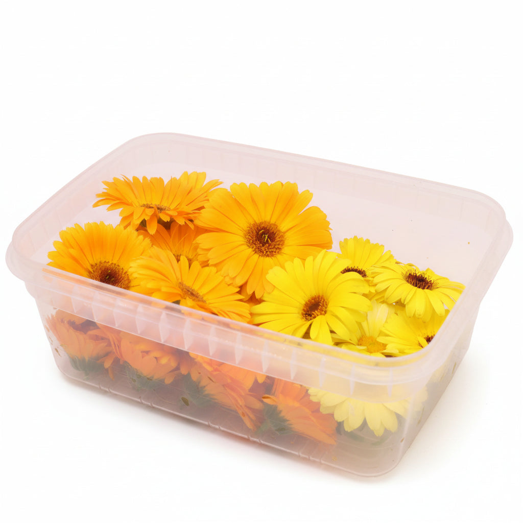 Grootverpakking goudsbloem eetbare bloemen Floral Delight eetbare bloemenshop