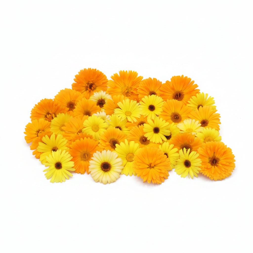 Grootverpakking goudsbloem eetbare bloemen Floral Delight eetbare bloemenshop