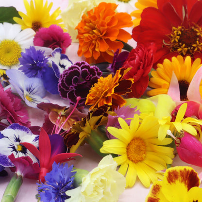 eetbare bloemen, eetbare bloemenshop, floral delight, korenbloem, viool, goudsbloem, fuchsia, tagetes