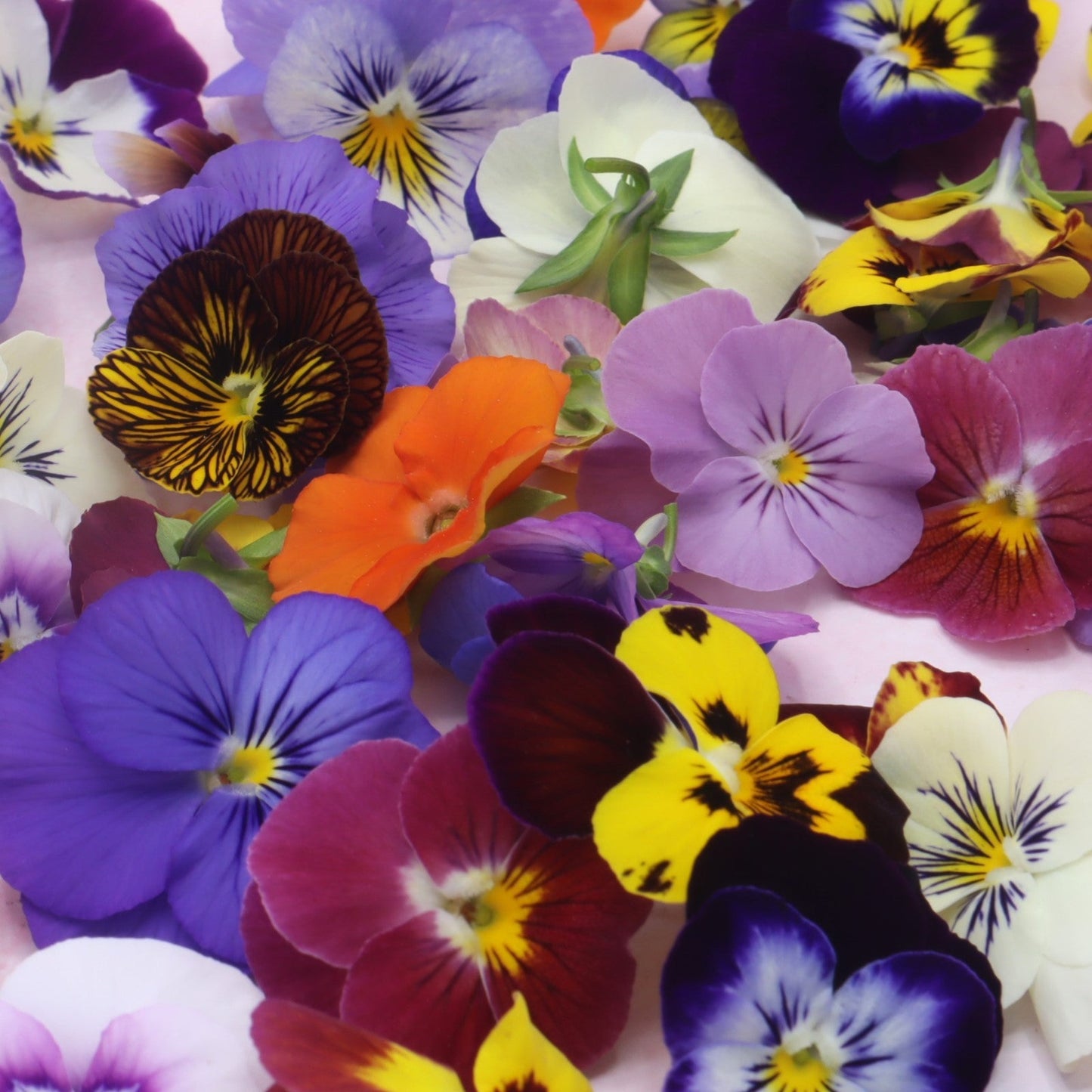 eetbare bloemen, viooltjes, bloemenshop 
