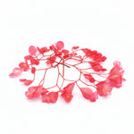 Apple blossom. Eetbare bloemen Floral Delight. Appel smaak