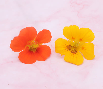 Eetbare Oost-indische kers bloemen, eetbare bloemen, bloemenshop webshop