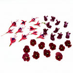 eetbare bloemen