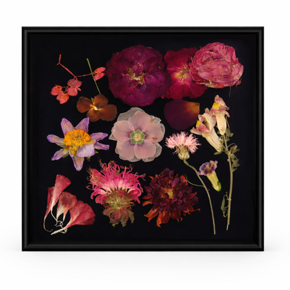 Geperste eetbare bloemen van Floral Delight, roze en rood