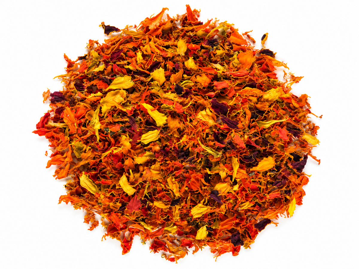 tagetes sprinkle